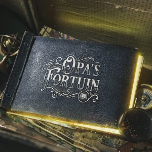 Dagboek van opa's fortuin